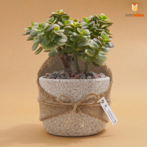 Jade con piedras naturales 007