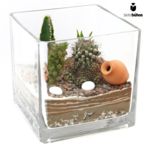 Terrario abierto cuadrado 15 cm #7