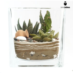 Terrario abierto cuadrado 10 cm #8