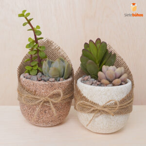 Pack maceta 10 cm 017