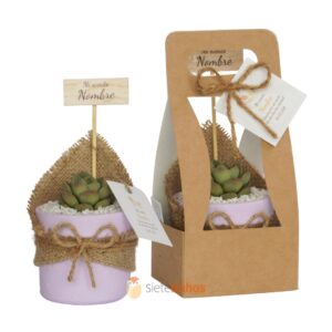 Recuerdos 7 cm con suculentas o cactus con borde arcilla lila