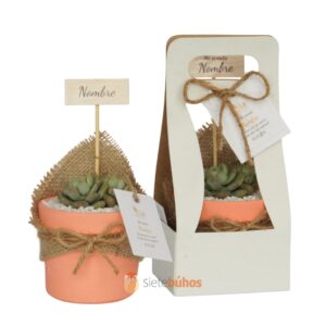 Recuerdos 7 cm con suculentas o cactus con borde arcilla salmón