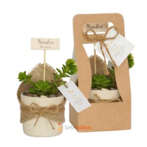 Recuerdos 7 cm con suculentas o cactus con borde arcilla crema chispa textura crema