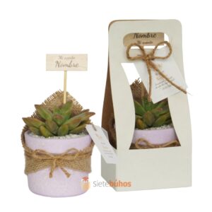 Recuerdos 7 cm con suculentas o cactus con borde arcilla lila chispa textura crema