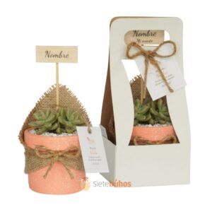 Recuerdos 7 cm con suculentas o cactus con borde arcilla salmón chispa textura crema