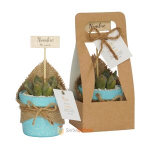 Recuerdos 7 cm con suculentas o cactus con borde arcilla azul chispa textura crema