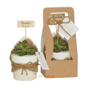 Recuerdos 7 cm con suculentas o cactus con borde arcilla textura crema borde blanco