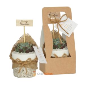 Recuerdos 7 cm con suculentas o cactus con borde arcilla textura marrón claro borde blanco