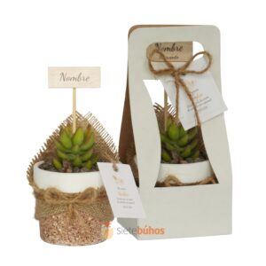 Recuerdos 7 cm con suculentas o cactus con borde arcilla textura sienna borde blanco