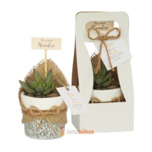 Recuerdos 7 cm con suculentas o cactus con borde arcilla textura gris borde blanco