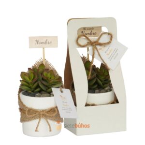 Recuerdos 7 cm con suculentas o cactus con borde arcilla blanca