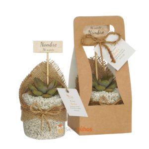 Recuerdos 7 cm con suculentas o cactus con borde arcilla textura marrón claro