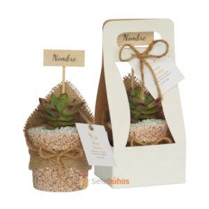 Recuerdos 7 cm con suculentas o cactus con borde arcilla textura sienna