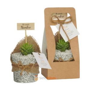 Recuerdos 7 cm con suculentas o cactus con borde arcilla textura gris