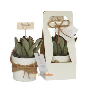 Recuerdos 7 cm con suculentas o cactus con borde arcilla blanca chispa textura crema