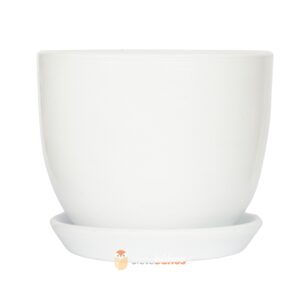 Maceta grande arcilla blanca 24x21 cm