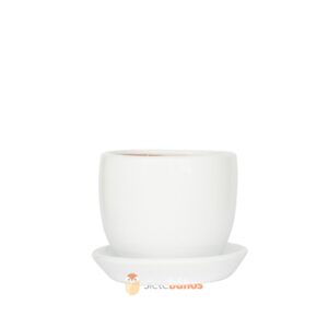 Maceta mini arcilla blanca 13x13 cm